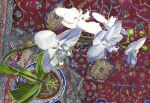 Orchids on Isfahan