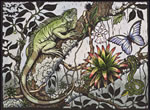 Selva Verde