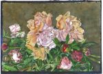 Peony