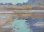 Big Bend Study