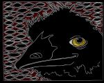 <b>Happy Emu</b>, 2009<br>Scratchboard, 8x10 inches<br>$250