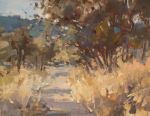 Hill Country Lane