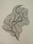<b>Rotating Polarity</b><br>Graphite, 21x16 inches<br>$350