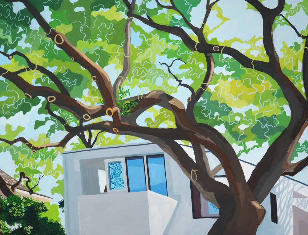 Live Oaks