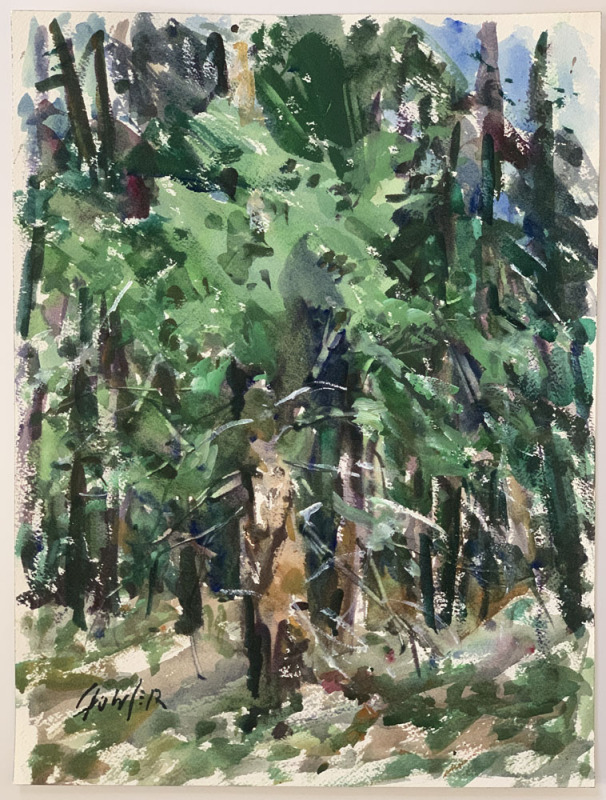 Bastrop Park Study
