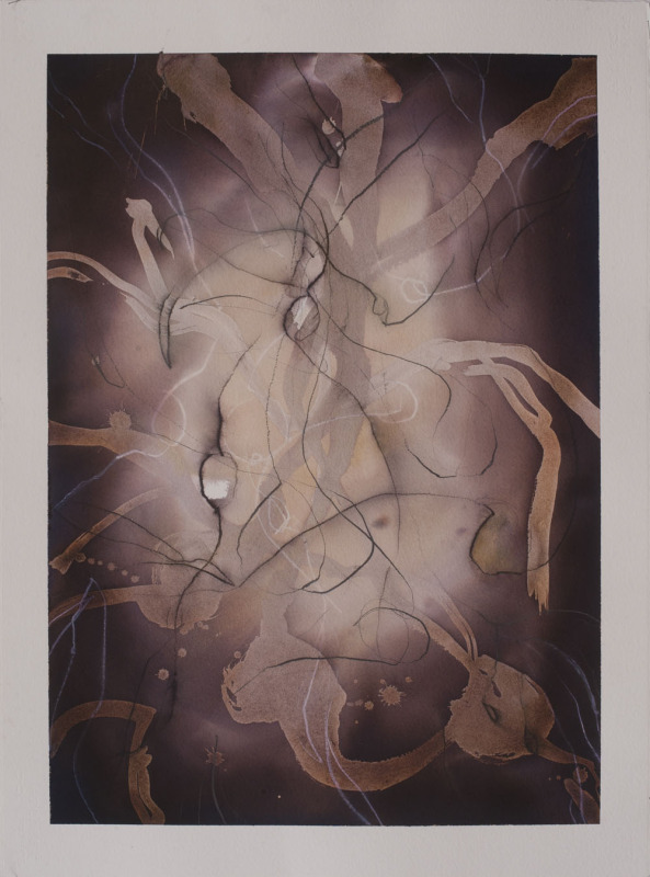 Spider Lily VI