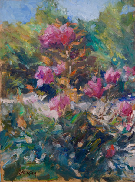 Roses