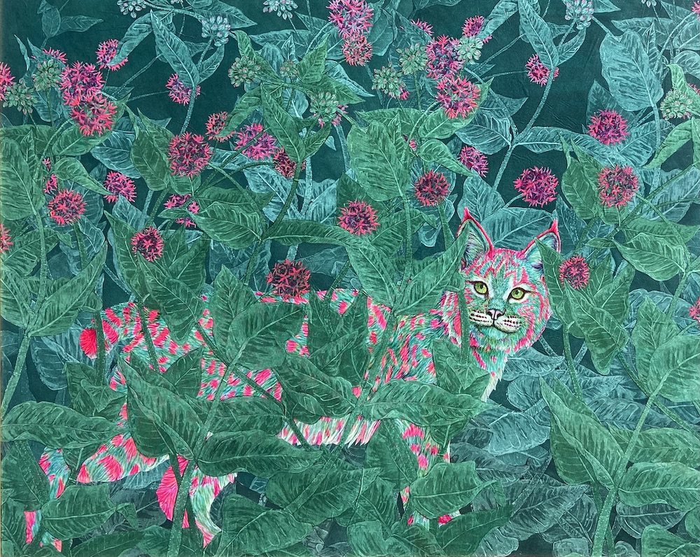 Bobcat in Showy Milkweed