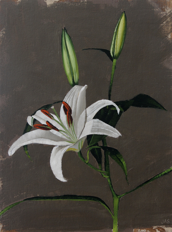 Lily