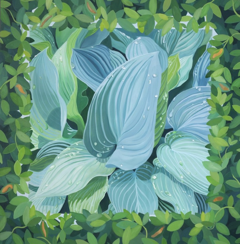 Rain-Wet: Hostas and Vinca