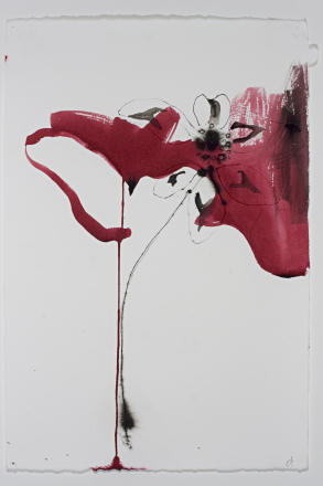 Red Clover