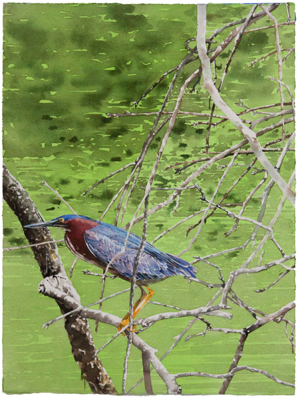 Perched