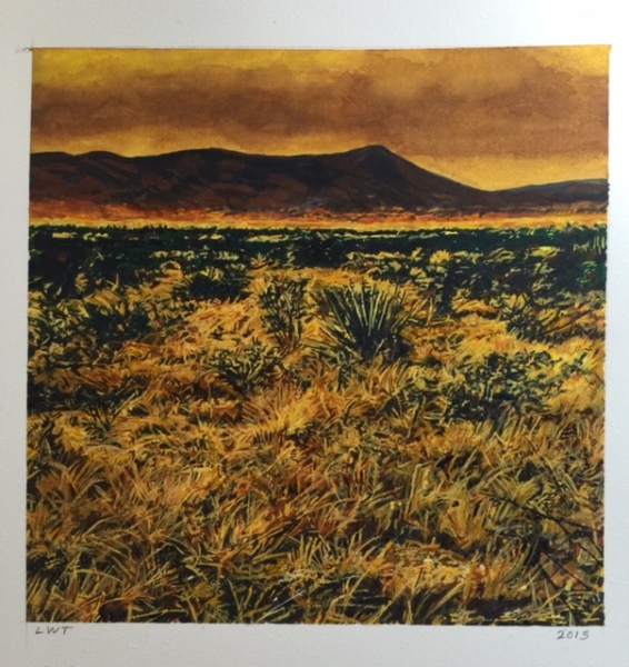 Balmorhea Cold Front