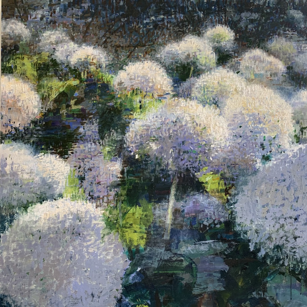 Hydrangeas