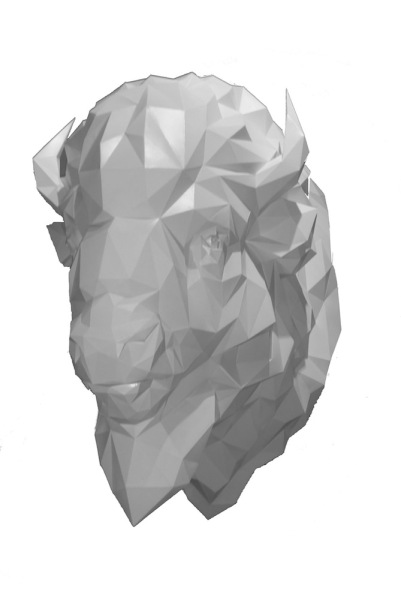 Spirit Bison