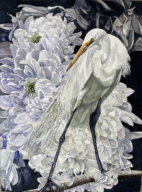 Between Dimensions Lies the Zone of Dreams