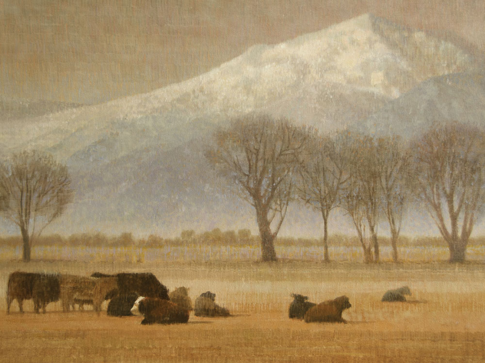 Taos Cows
