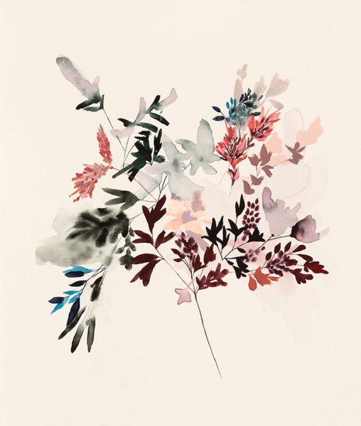 Wildflower Study XIX