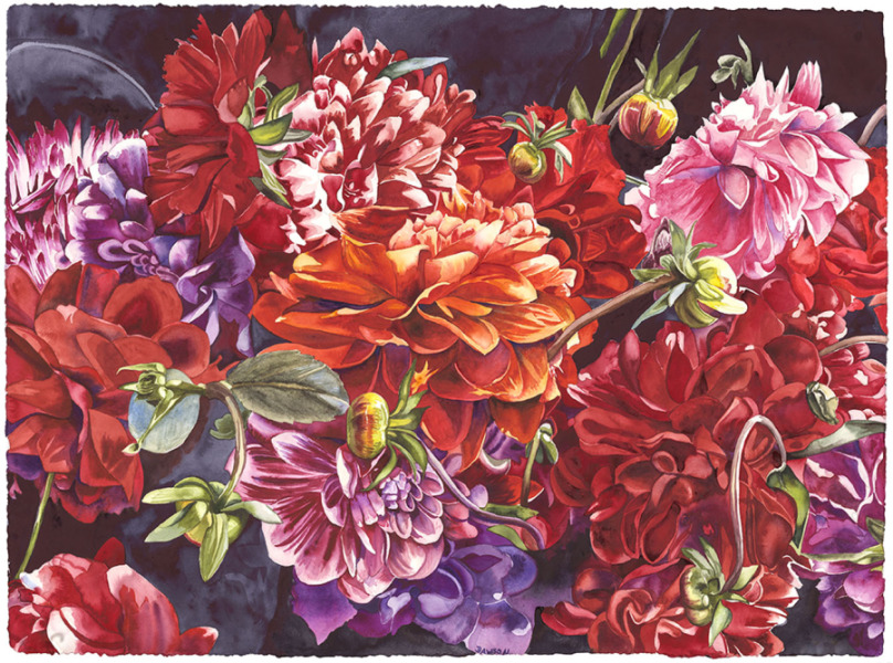 Dahlia Explosion