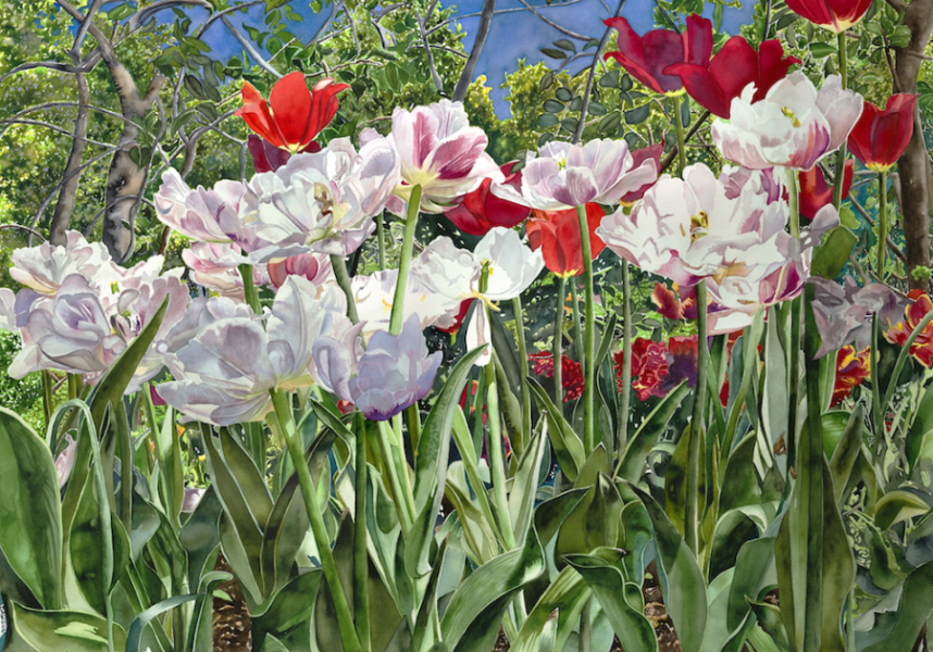 Tulip Lamps