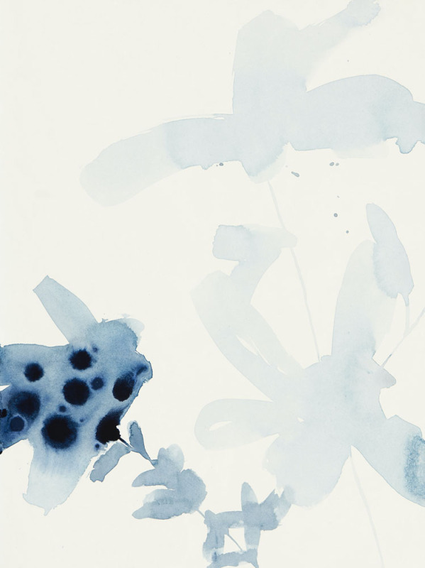 Indigo Soft 3