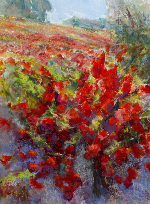 Fall Vines
