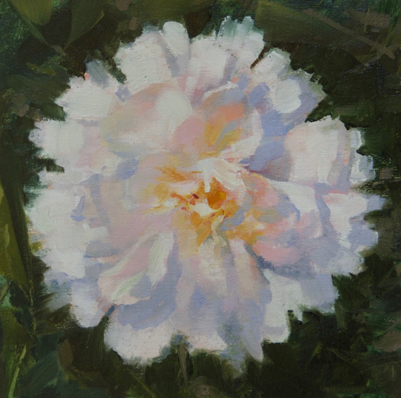 Spring Flower