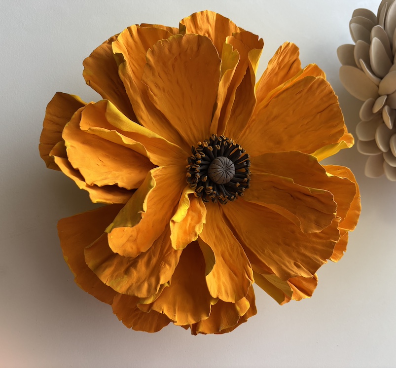 Orange Poppy #2