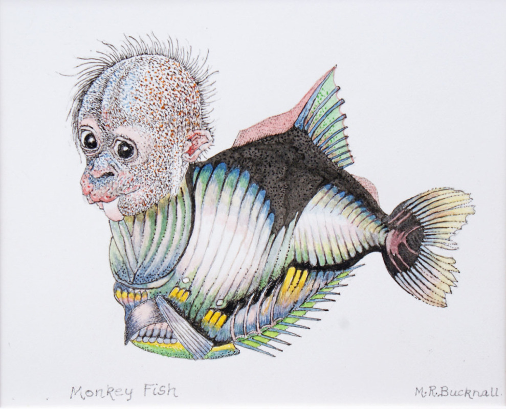 Monkey Fish
