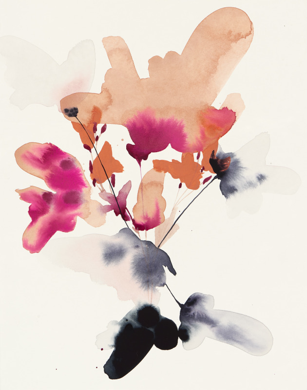 Wildflower Study Spring 2
