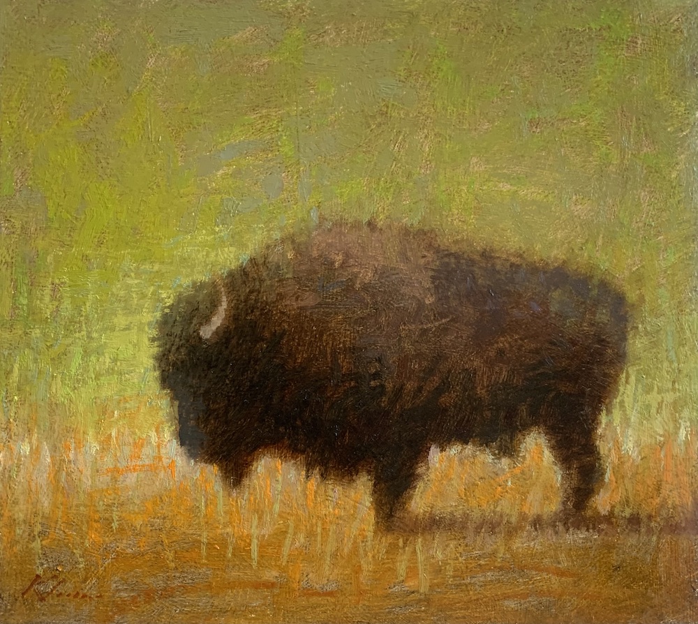 Lone Bison