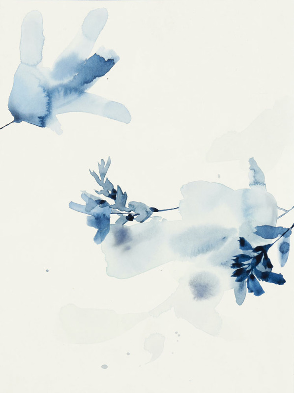 Indigo Soft 5