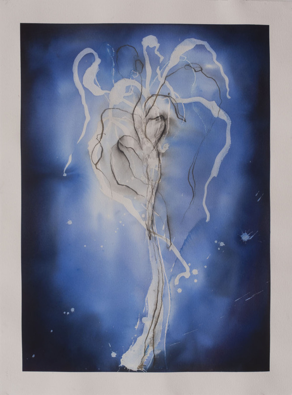 Spider Lily V