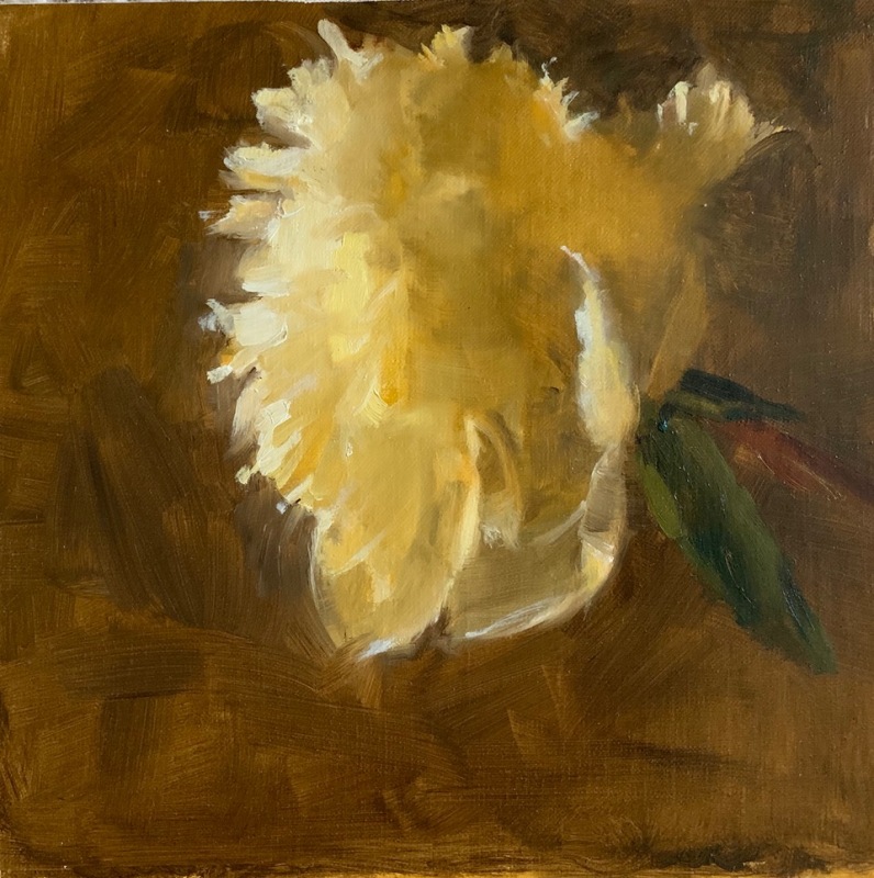 Single Peony