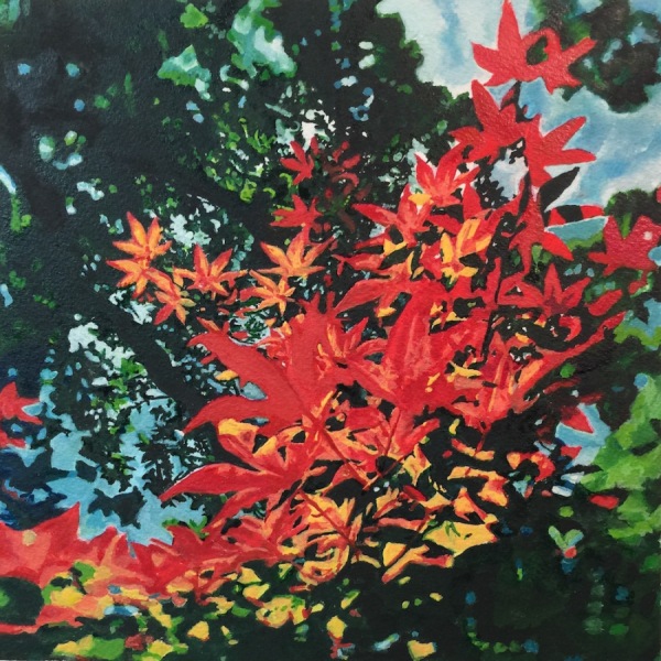 Japanese Maple