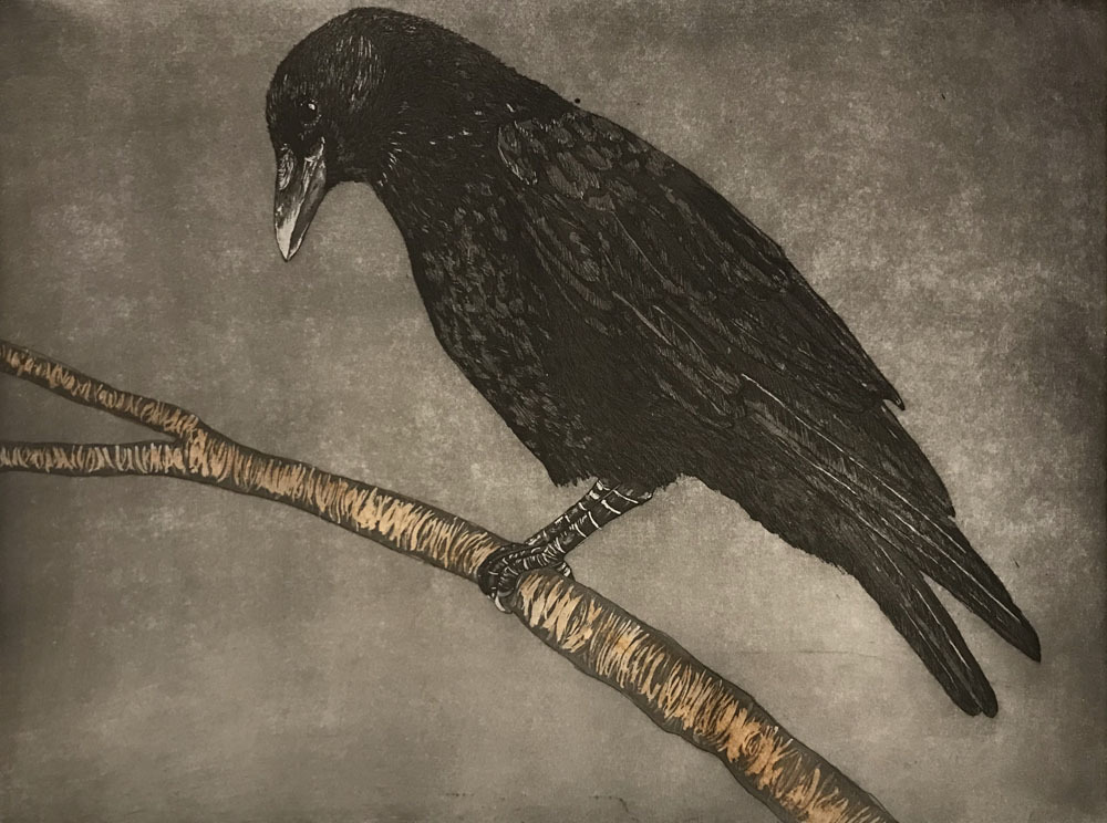 Crow