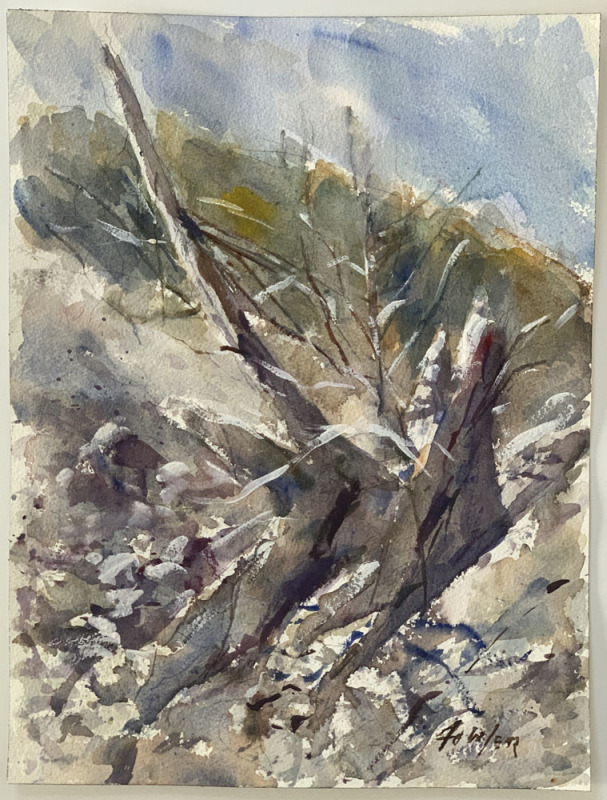 Blanco River Bottom