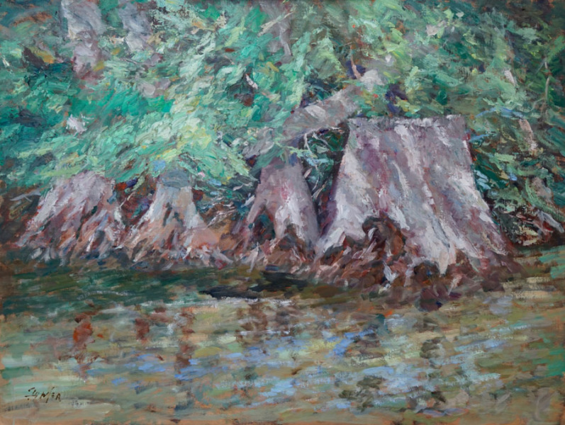 Old Cypress, Onion Creek