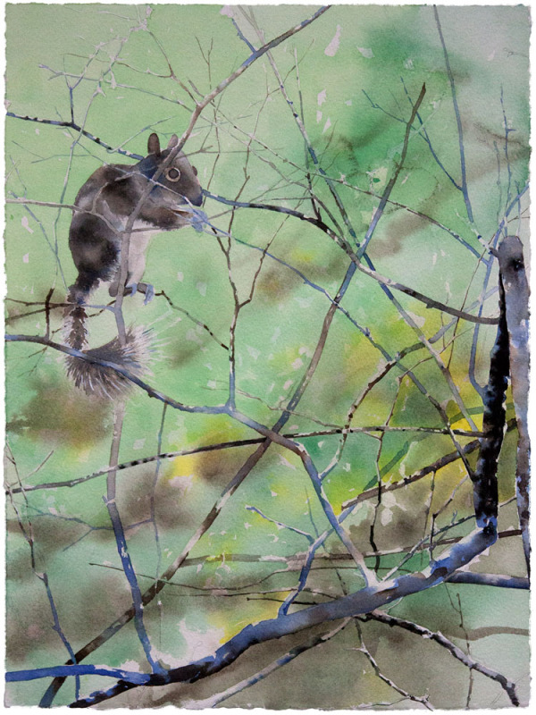 Watchful Eye
