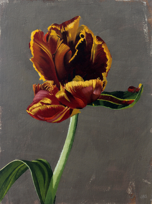 Tulip