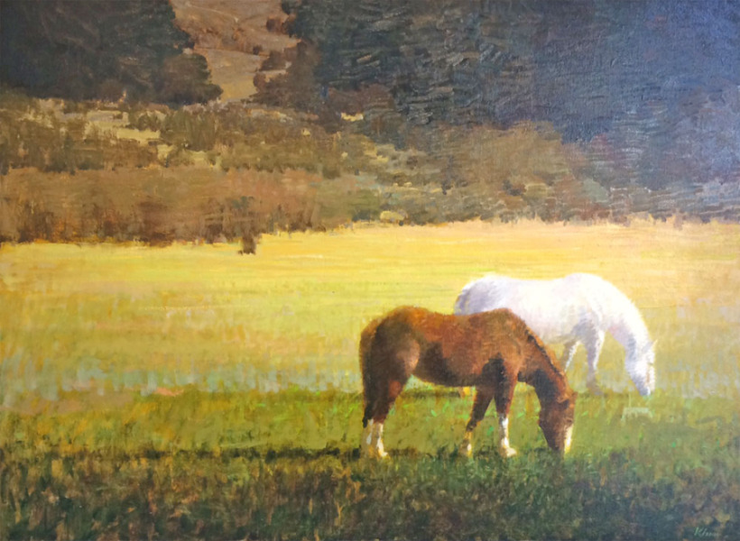Pasture