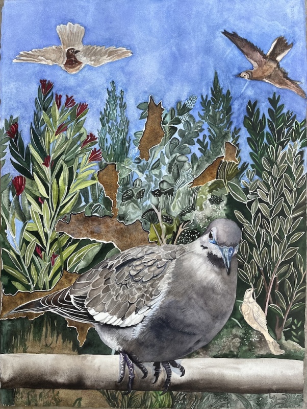 Pompeii Doves