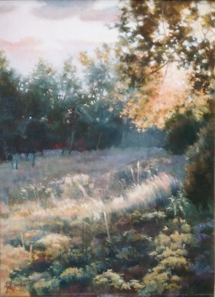 Faerie Circle