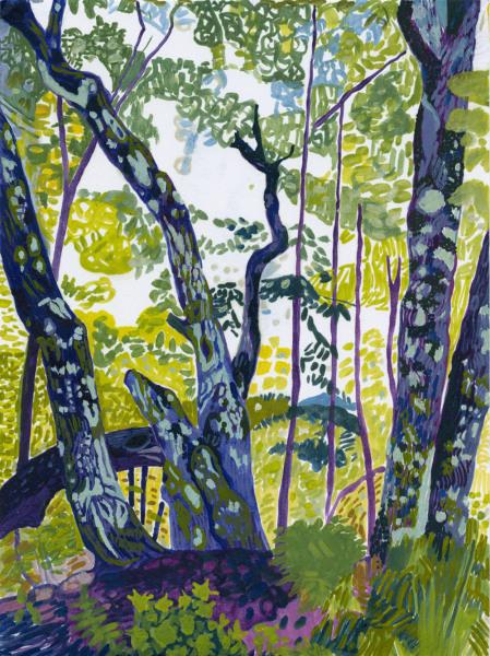 Forest Meditation 4