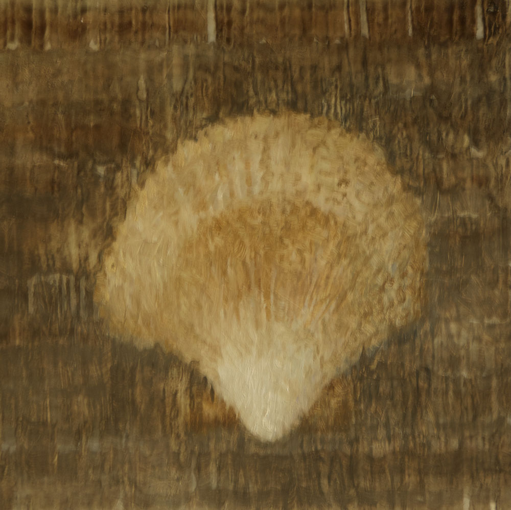 Shell Triptych II