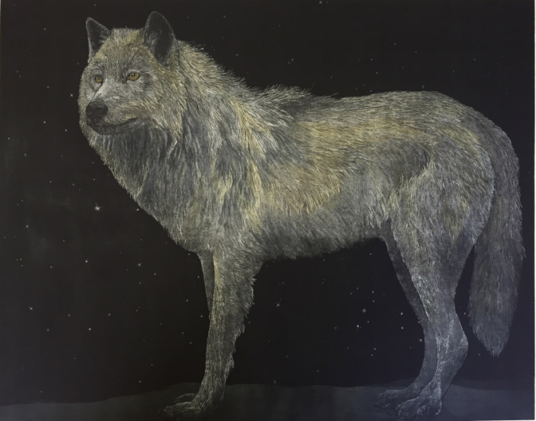 Welcome Back Wolf