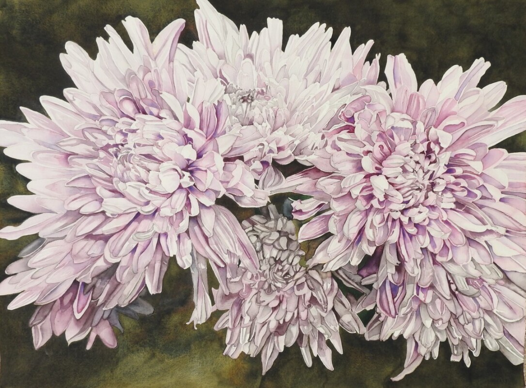 Mauve