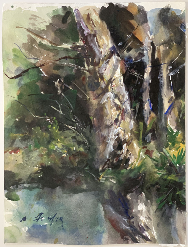 Honey Creek Study