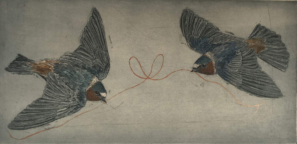 Cliff Swallows