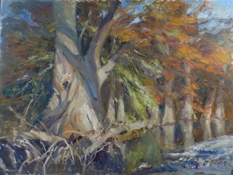 Fall Cypress on the Frio